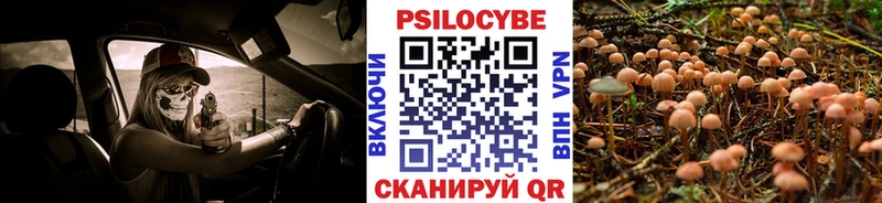 Галлюциногенные грибы Psilocybe  Среднеуральск 